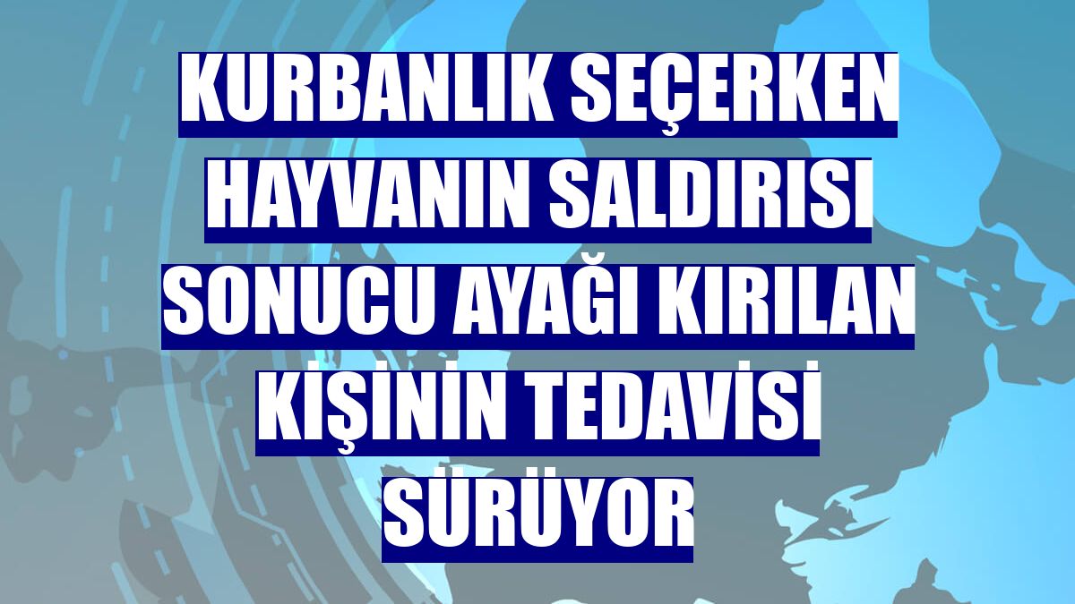 Kurbanlık seçerken hayvanın saldırısı sonucu ayağı kırılan kişinin tedavisi sürüyor