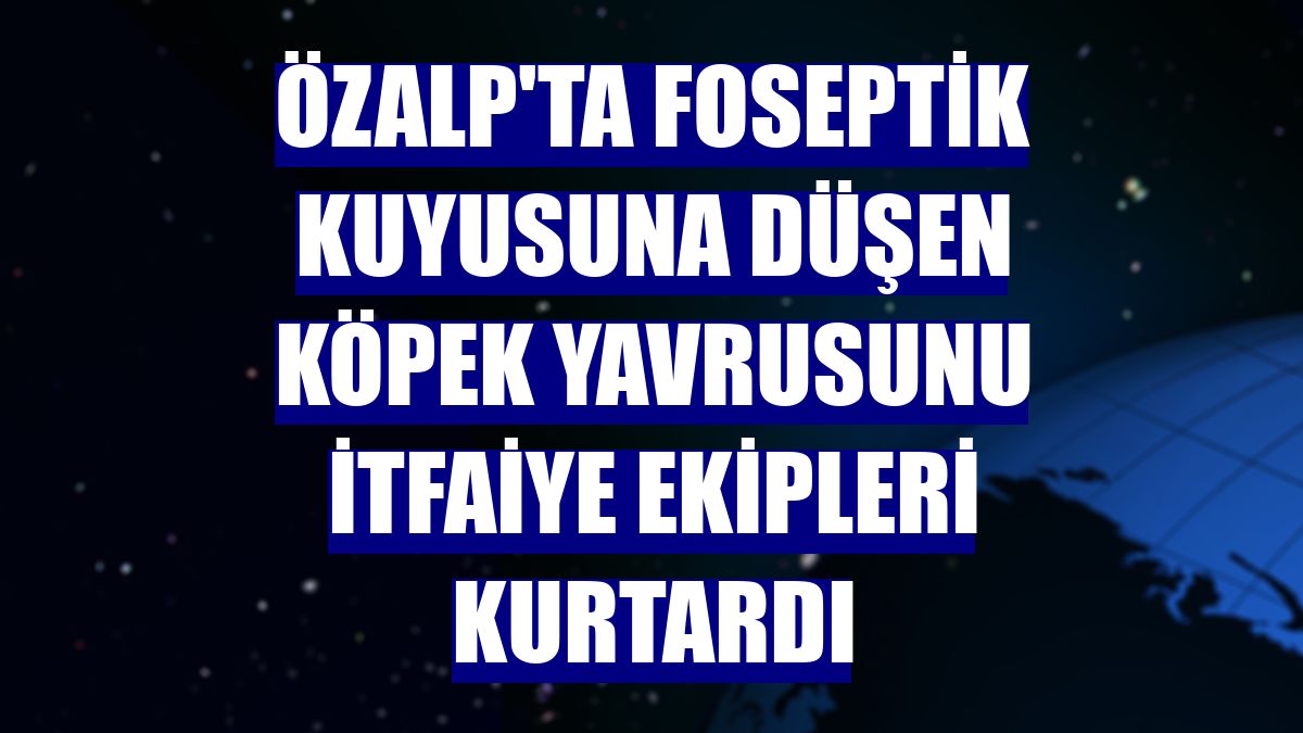 Özalp'ta foseptik kuyusuna düşen köpek yavrusunu itfaiye ekipleri kurtardı