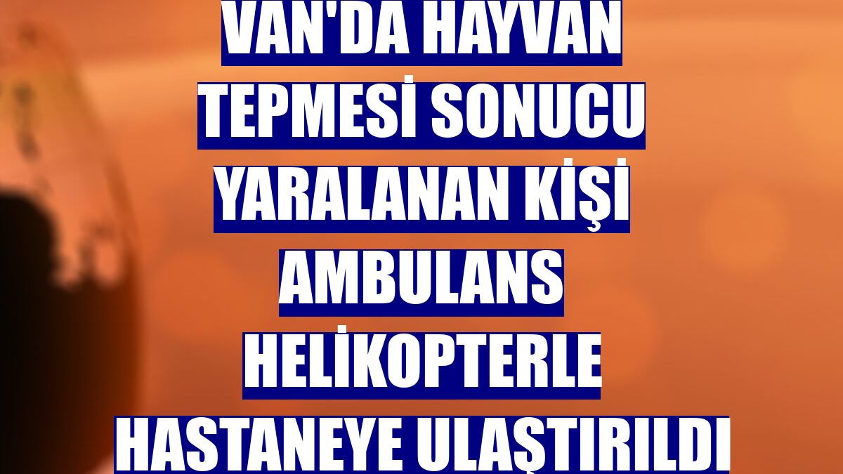 Van'da hayvan tepmesi sonucu yaralanan kişi ambulans helikopterle hastaneye ulaştırıldı