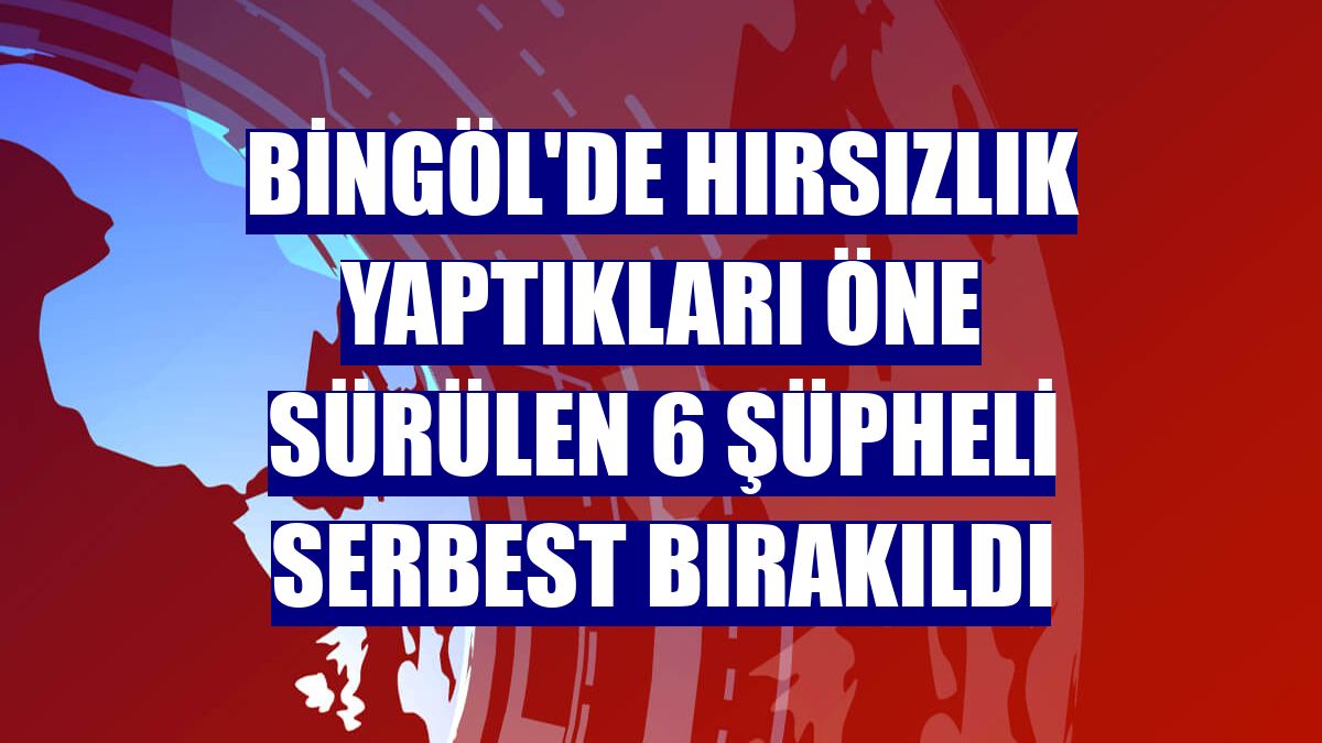 Bingöl'de hırsızlık yaptıkları öne sürülen 6 şüpheli serbest bırakıldı