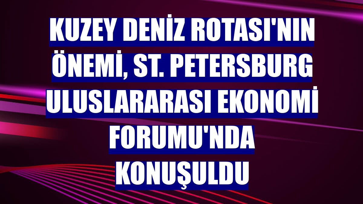 Kuzey Deniz Rotası'nın önemi, St. Petersburg Uluslararası Ekonomi Forumu'nda konuşuldu