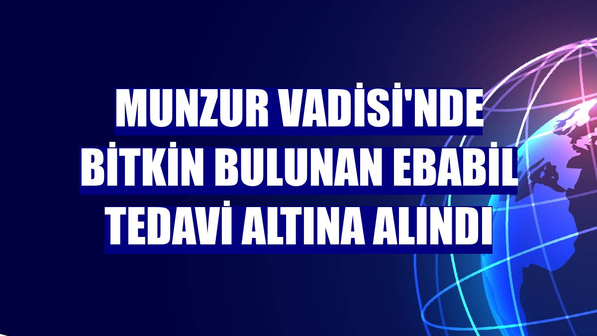 Munzur Vadisi'nde bitkin bulunan ebabil tedavi altına alındı