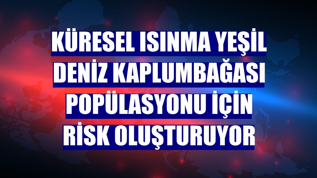 Küresel ısınma yeşil deniz kaplumbağası popülasyonu için risk oluşturuyor
