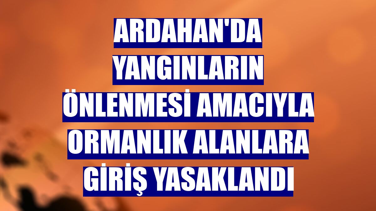 Ardahan'da yangınların önlenmesi amacıyla ormanlık alanlara giriş yasaklandı