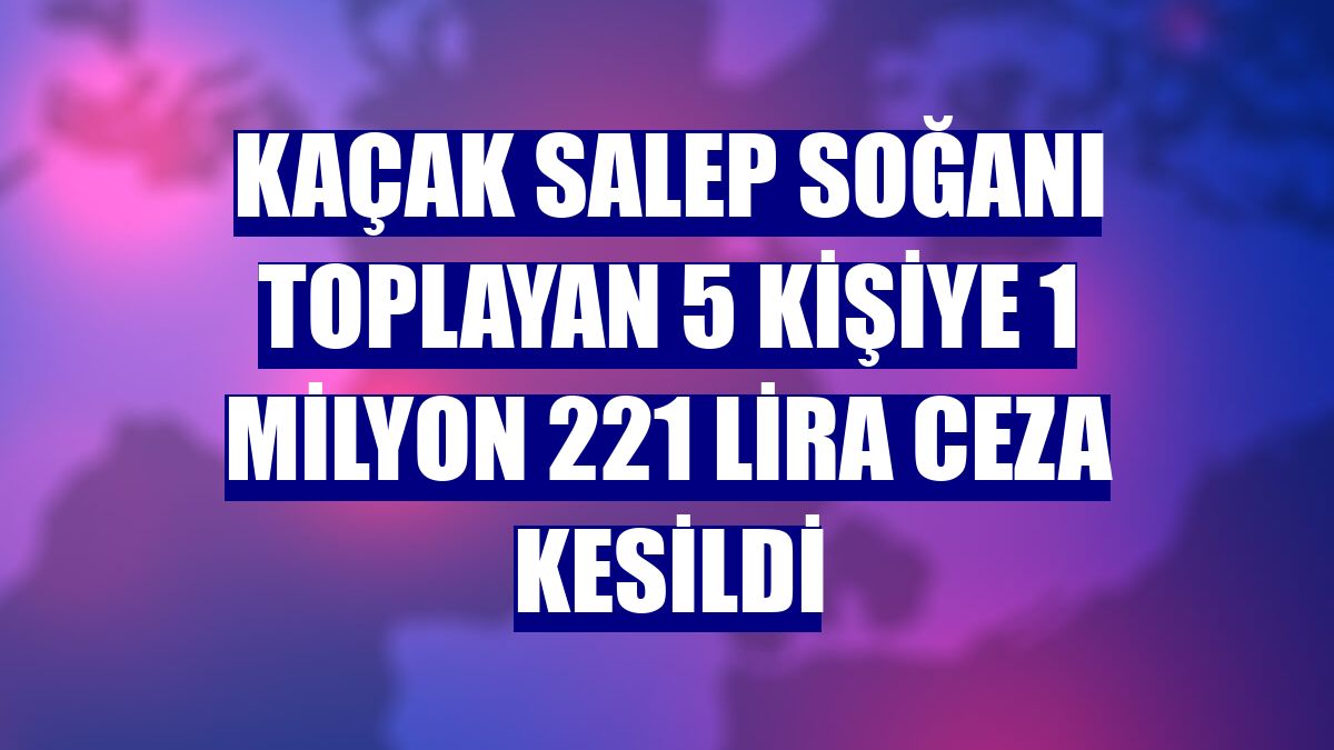 Kaçak salep soğanı toplayan 5 kişiye 1 milyon 221 lira ceza kesildi