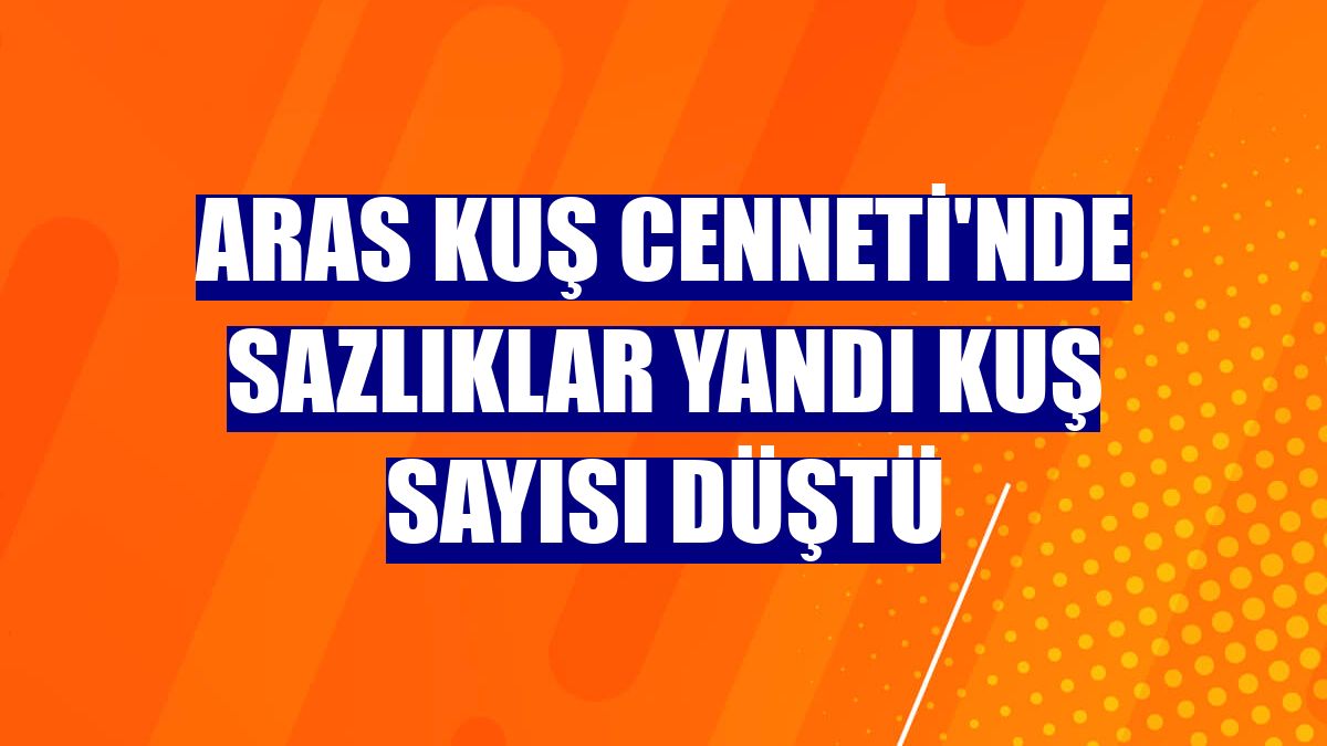 Aras Kuş Cenneti'nde sazlıklar yandı kuş sayısı düştü