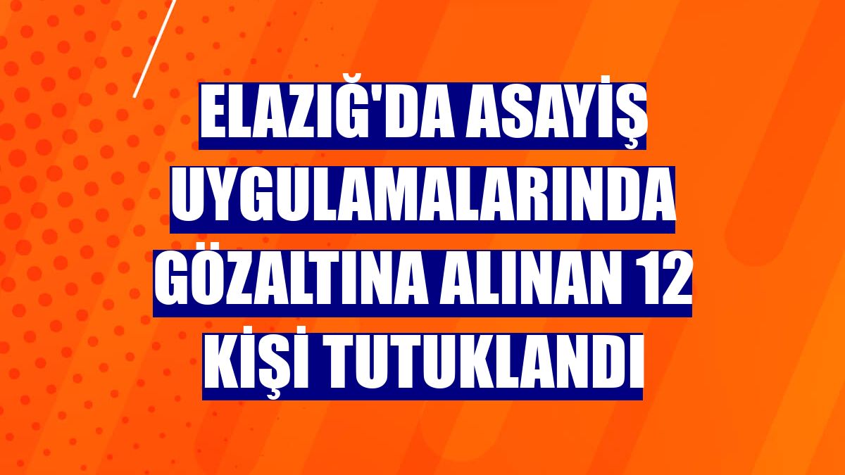 Elazığ'da asayiş uygulamalarında gözaltına alınan 12 kişi tutuklandı