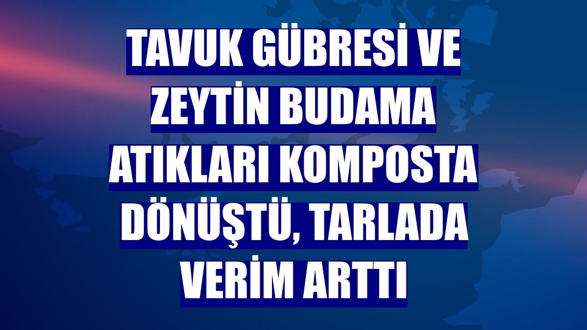 Tavuk gübresi ve zeytin budama atıkları komposta dönüştü, tarlada verim arttı