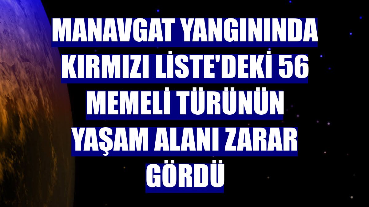 Manavgat yangınında Kırmızı Liste'deki 56 memeli türünün yaşam alanı zarar gördü