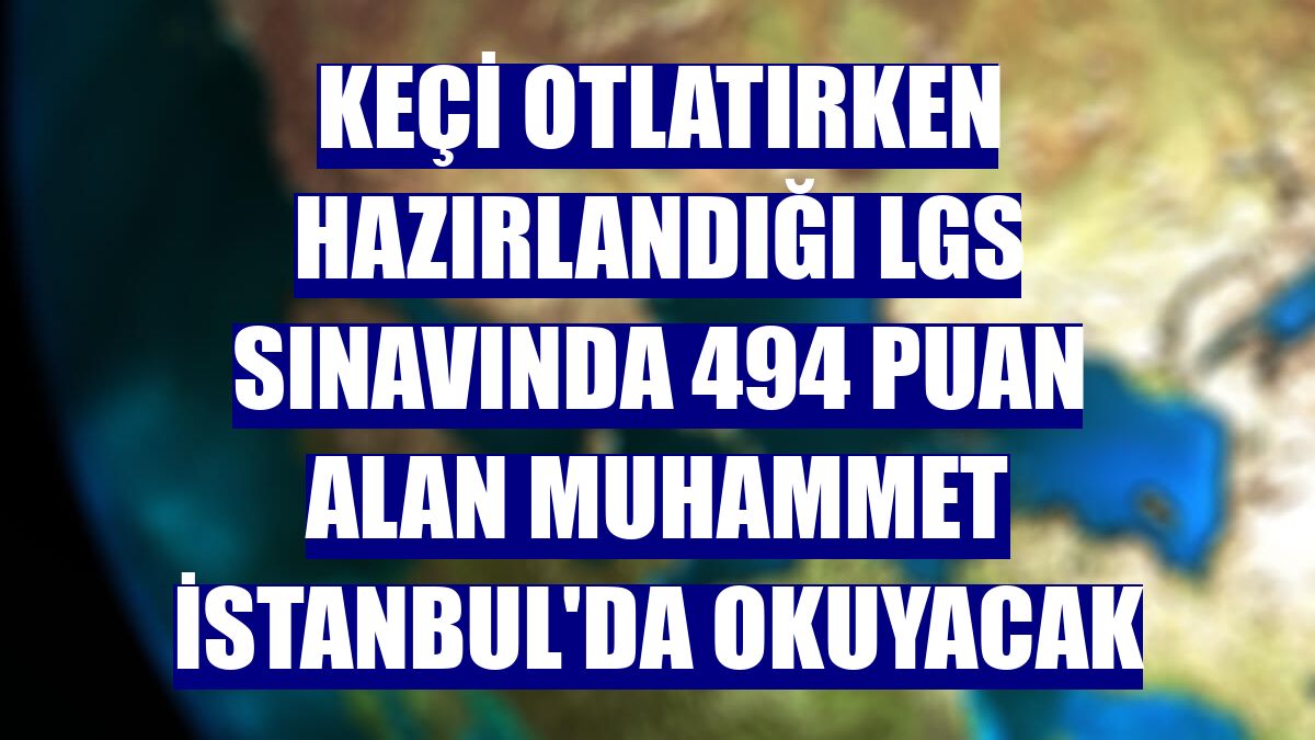 Keçi otlatırken hazırlandığı LGS sınavında 494 puan alan Muhammet İstanbul'da okuyacak