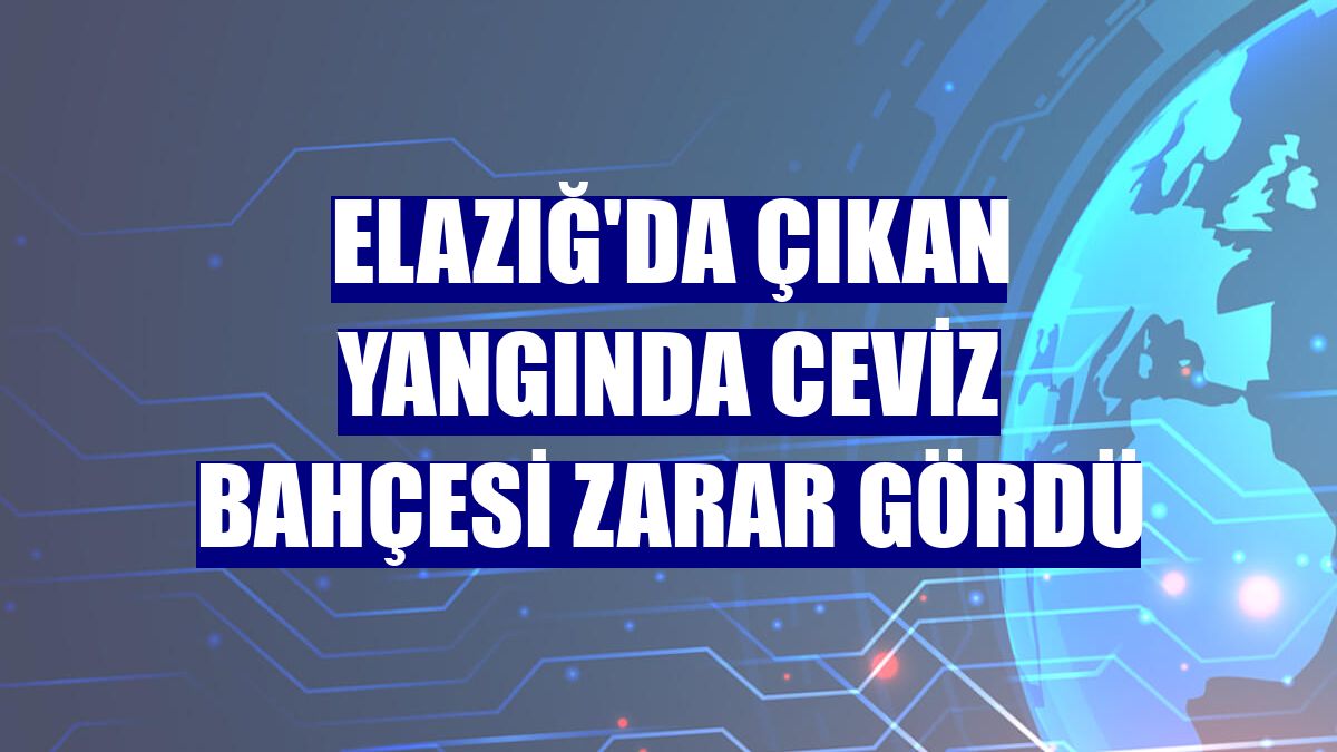 Elazığ'da çıkan yangında ceviz bahçesi zarar gördü