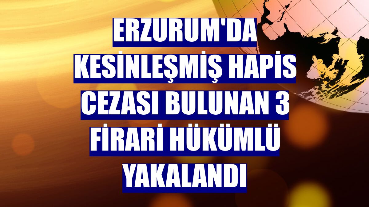 Erzurum'da kesinleşmiş hapis cezası bulunan 3 firari hükümlü yakalandı