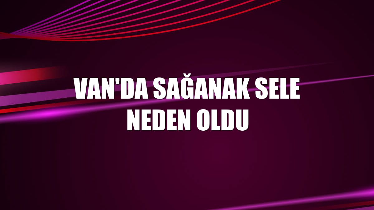 Van'da sağanak sele neden oldu