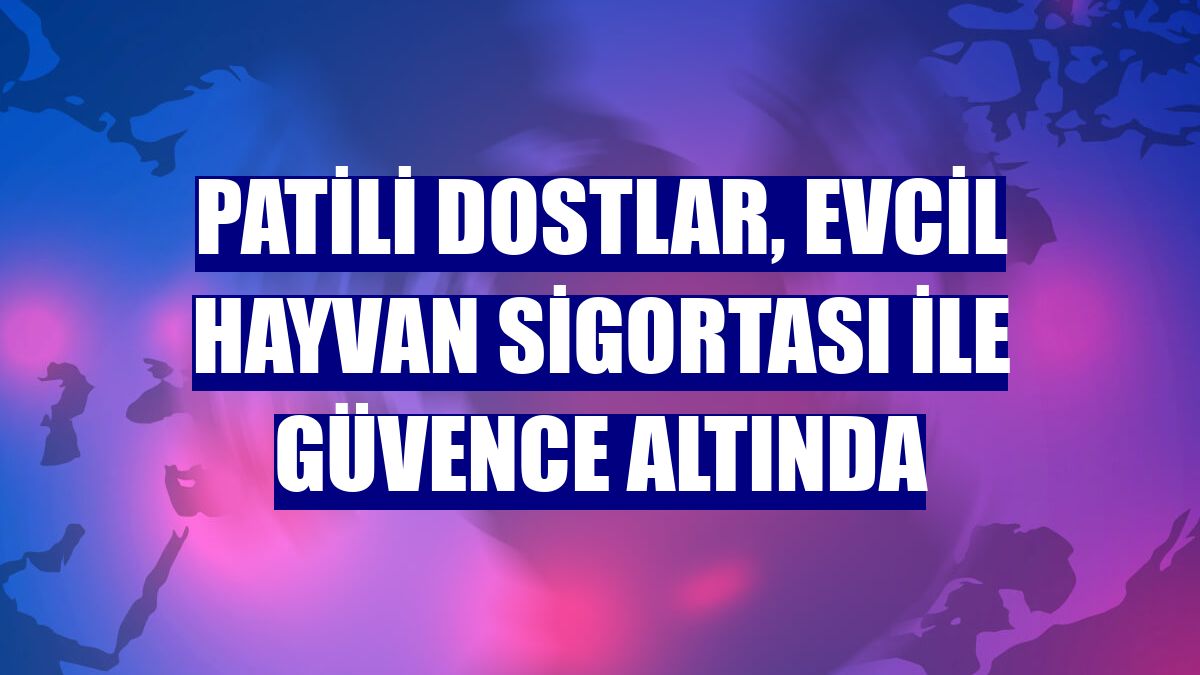 Patili dostlar, Evcil Hayvan Sigortası ile güvence altında