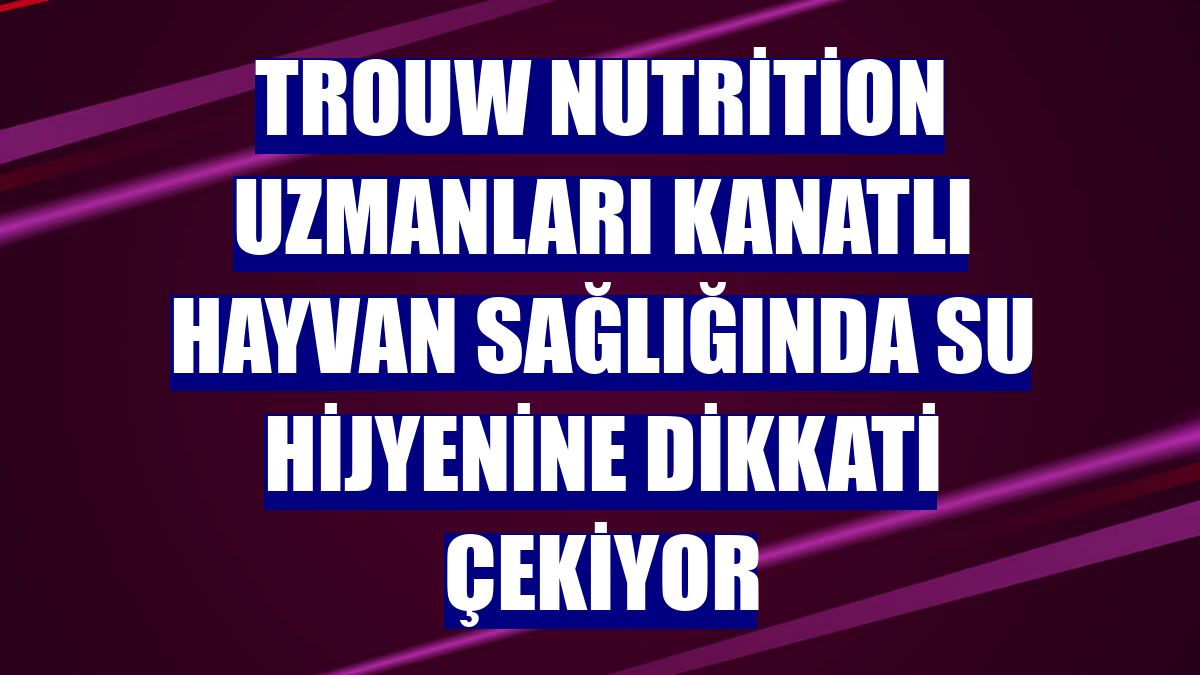 Trouw Nutrition uzmanları kanatlı hayvan sağlığında su hijyenine dikkati çekiyor