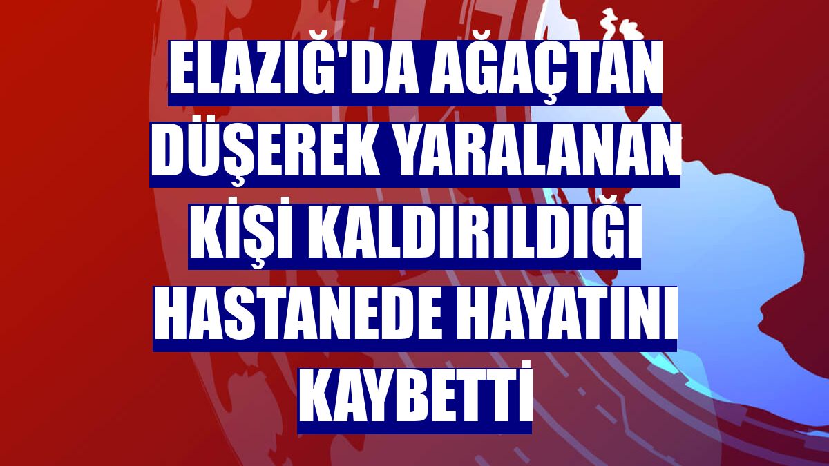 Elazığ'da ağaçtan düşerek yaralanan kişi kaldırıldığı hastanede hayatını kaybetti