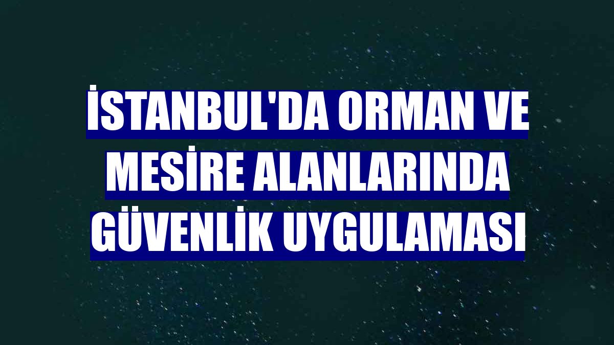 İstanbul'da orman ve mesire alanlarında güvenlik uygulaması