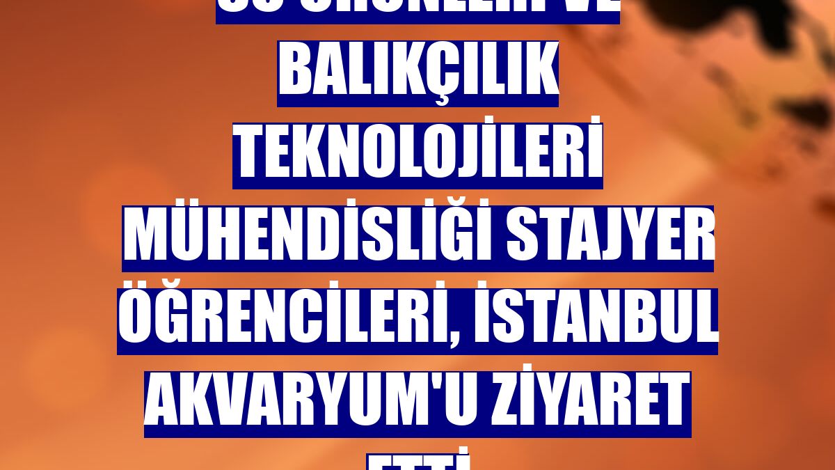 Su Ürünleri ve Balıkçılık Teknolojileri Mühendisliği stajyer öğrencileri, İstanbul Akvaryum'u ziyaret etti