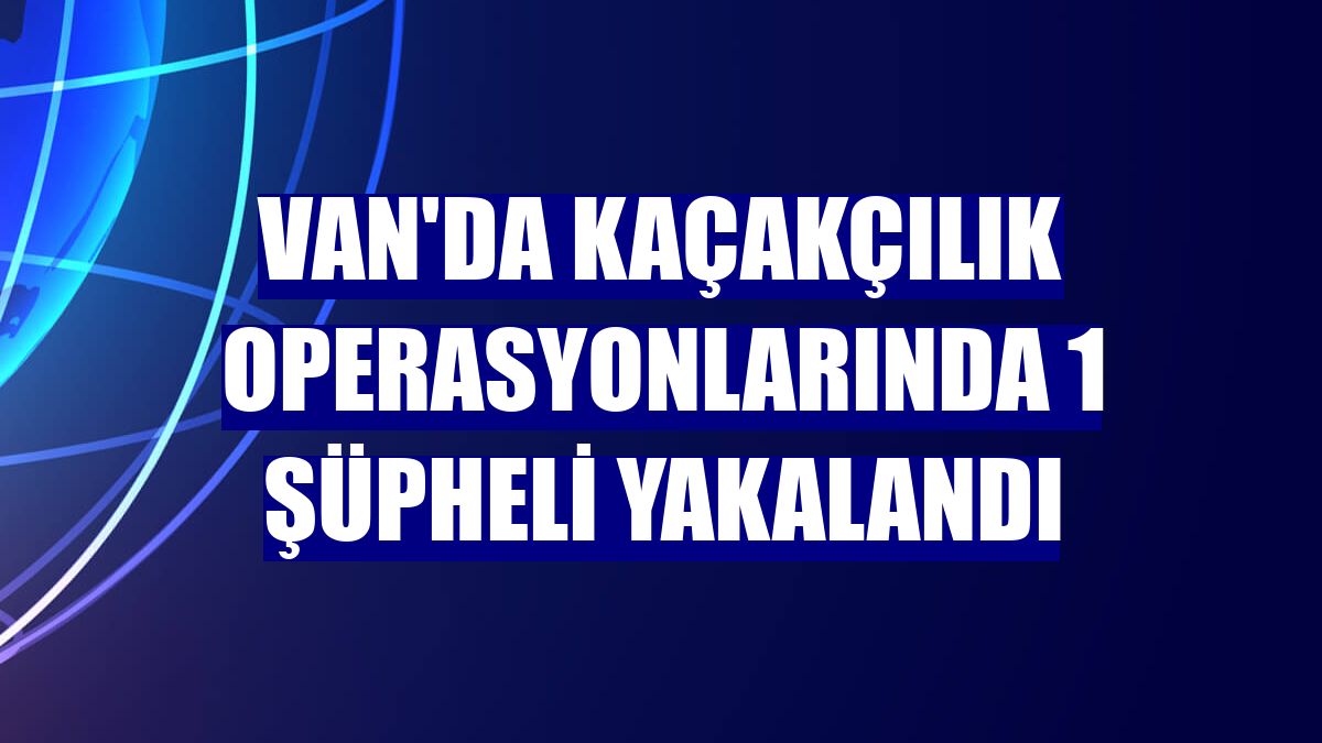 Van'da kaçakçılık operasyonlarında 1 şüpheli yakalandı