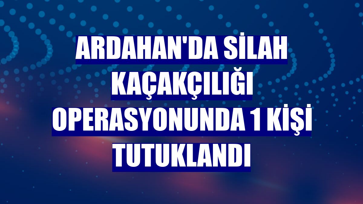 Ardahan'da silah kaçakçılığı operasyonunda 1 kişi tutuklandı