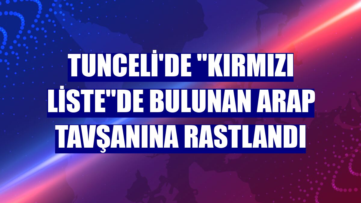 Tunceli'de "kırmızı liste"de bulunan Arap tavşanına rastlandı