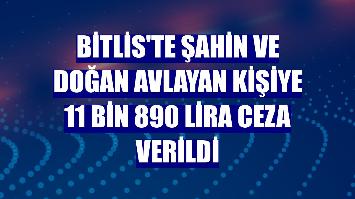 Bitlis'te şahin ve doğan avlayan kişiye 11 bin 890 lira ceza verildi