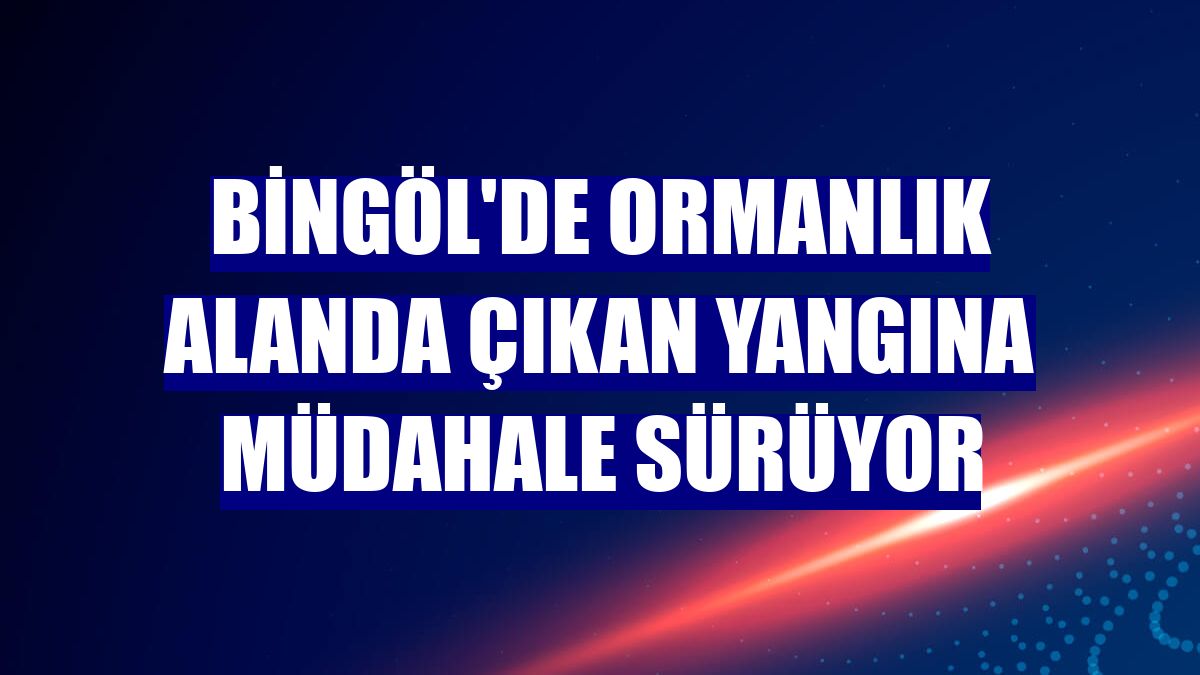 Bingöl'de ormanlık alanda çıkan yangına müdahale sürüyor