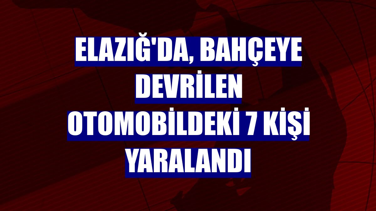 Elazığ'da, bahçeye devrilen otomobildeki 7 kişi yaralandı