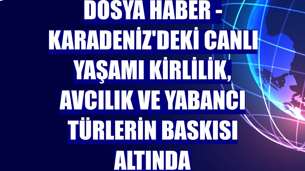 DOSYA HABER - Karadeniz'deki canlı yaşamı kirlilik, avcılık ve yabancı türlerin baskısı altında