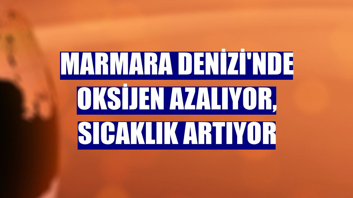 Marmara Denizi'nde oksijen azalıyor, sıcaklık artıyor