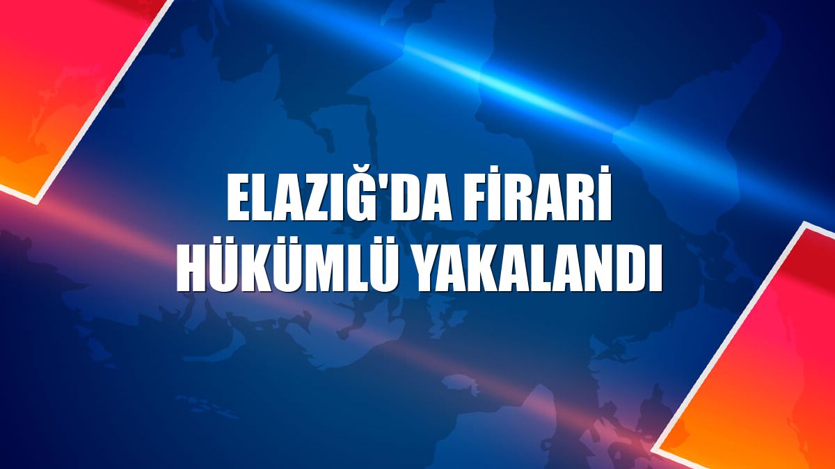 Elazığ'da firari hükümlü yakalandı