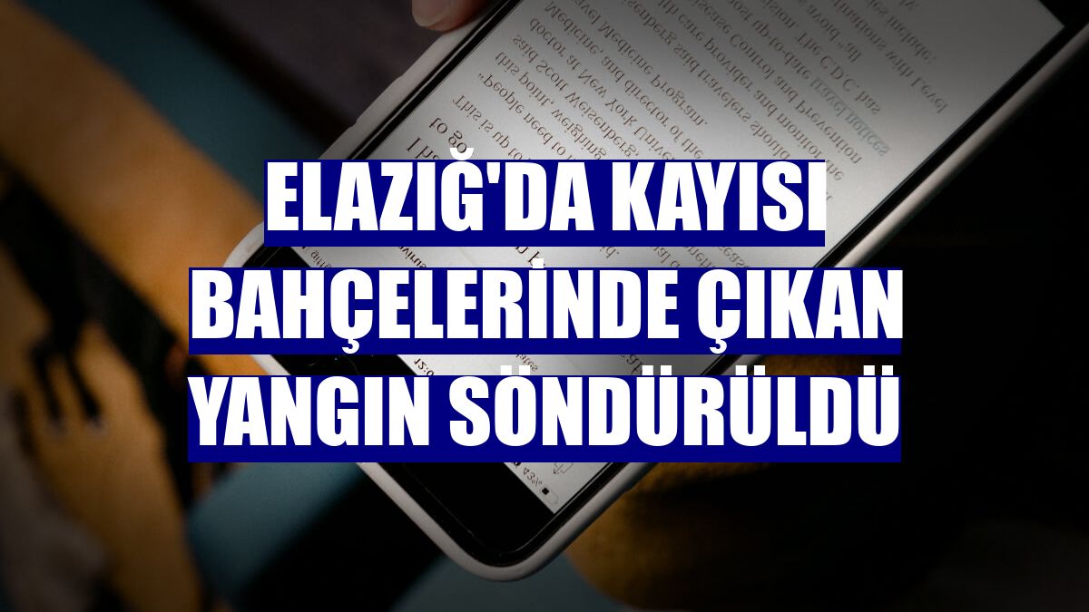 Elazığ'da kayısı bahçelerinde çıkan yangın söndürüldü
