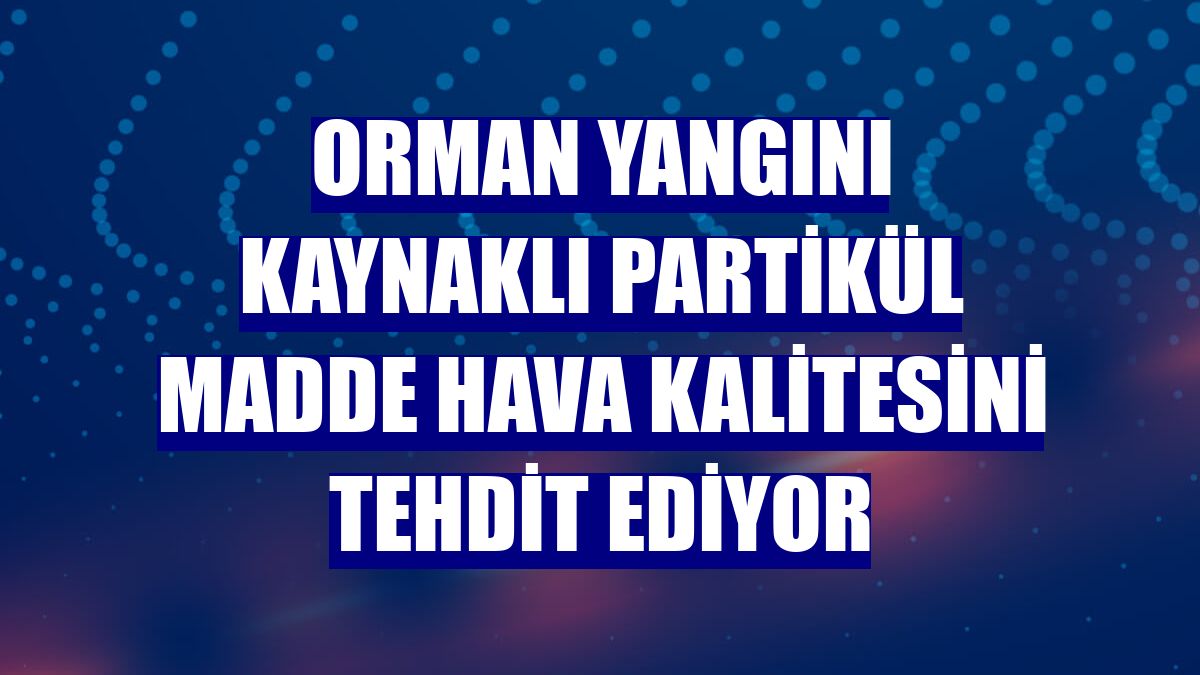 Orman yangını kaynaklı partikül madde hava kalitesini tehdit ediyor