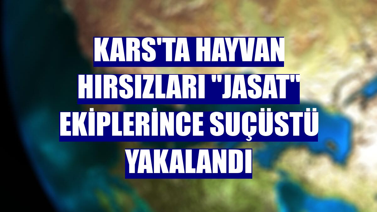 Kars'ta hayvan hırsızları "JASAT" ekiplerince suçüstü yakalandı
