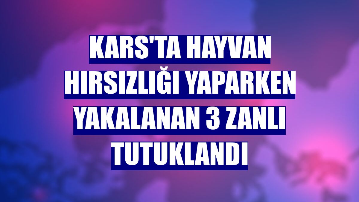 Kars'ta hayvan hırsızlığı yaparken yakalanan 3 zanlı tutuklandı