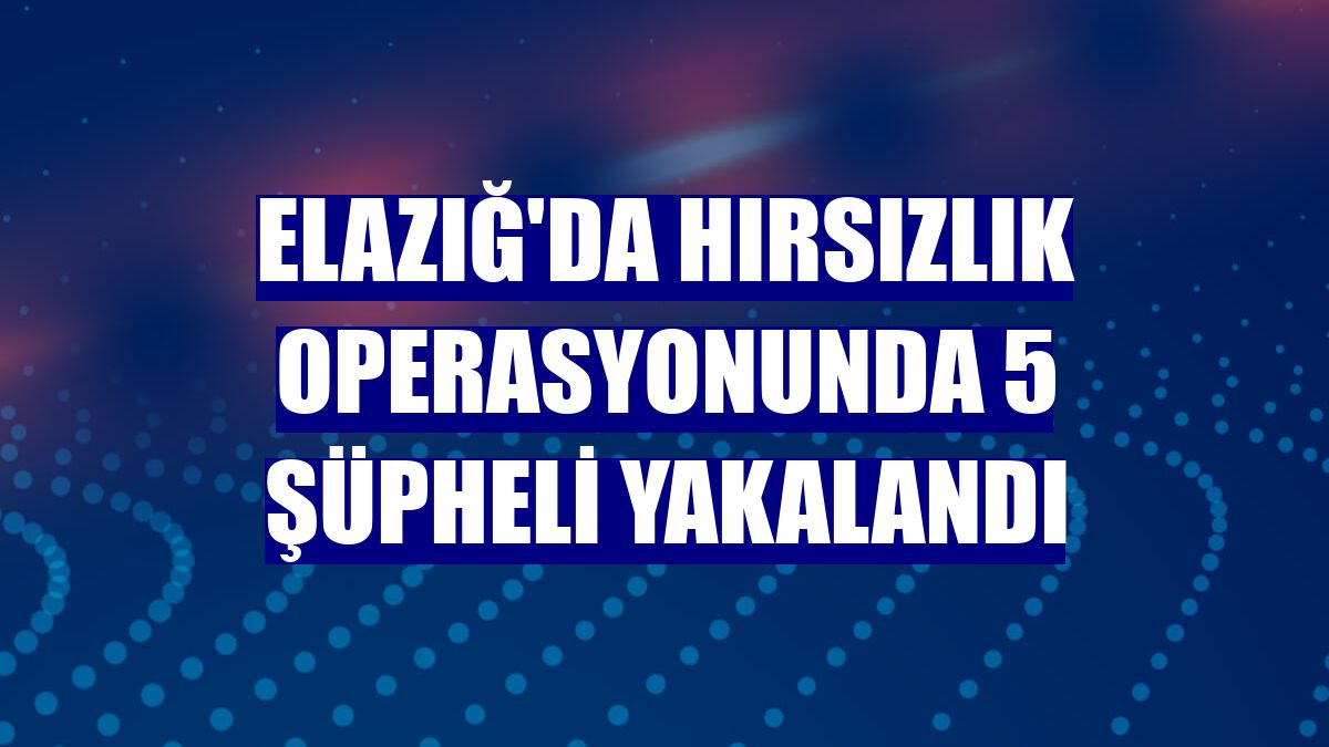 Elazığ'da hırsızlık operasyonunda 5 şüpheli yakalandı