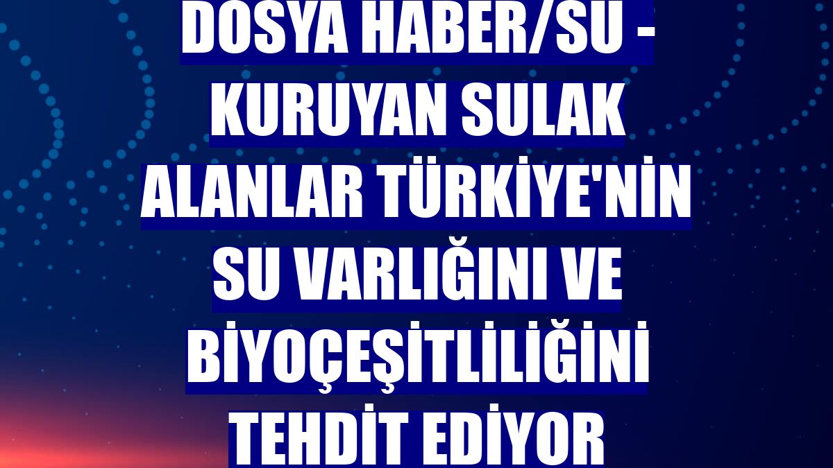 DOSYA HABER/SU - Kuruyan sulak alanlar Türkiye'nin su varlığını ve biyoçeşitliliğini tehdit ediyor
