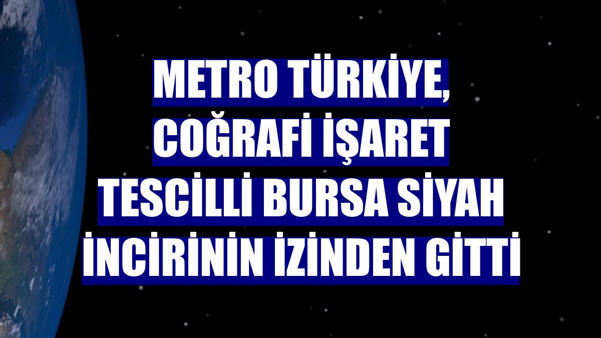 Metro Türkiye, coğrafi işaret tescilli Bursa siyah incirinin izinden gitti