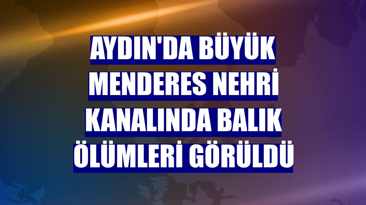 Aydın'da Büyük Menderes Nehri kanalında balık ölümleri görüldü