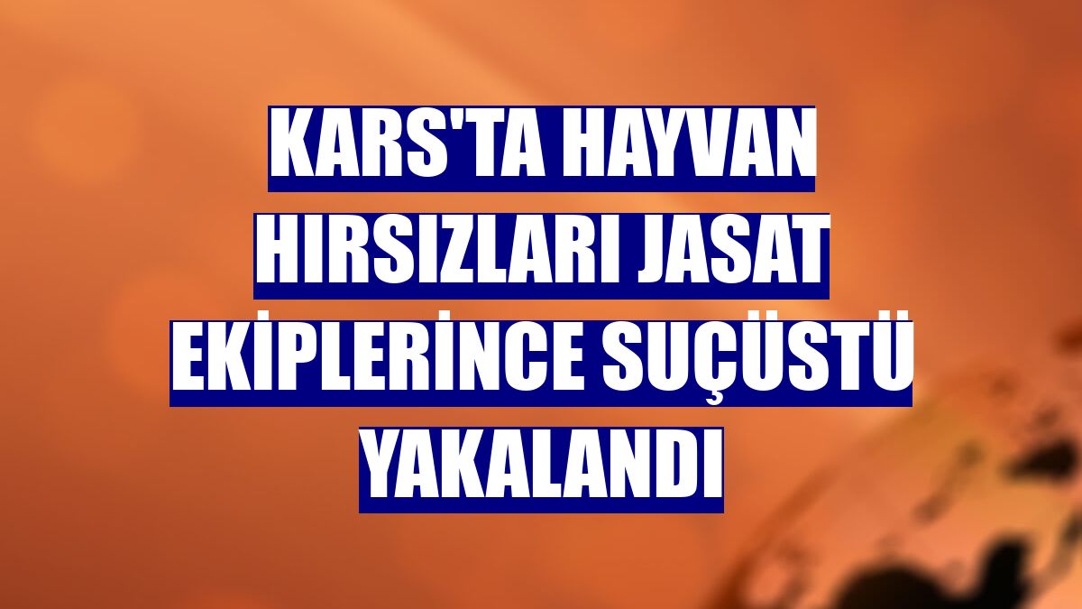 Kars'ta hayvan hırsızları JASAT ekiplerince suçüstü yakalandı