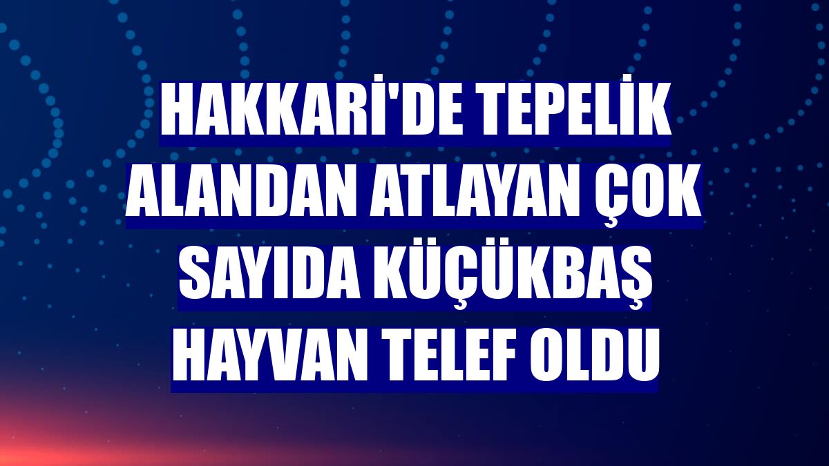 Hakkari'de tepelik alandan atlayan çok sayıda küçükbaş hayvan telef oldu