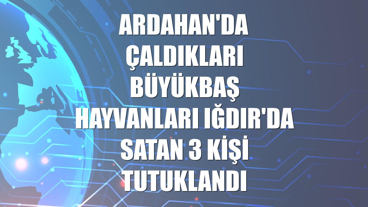 Ardahan'da çaldıkları büyükbaş hayvanları Iğdır'da satan 3 kişi tutuklandı