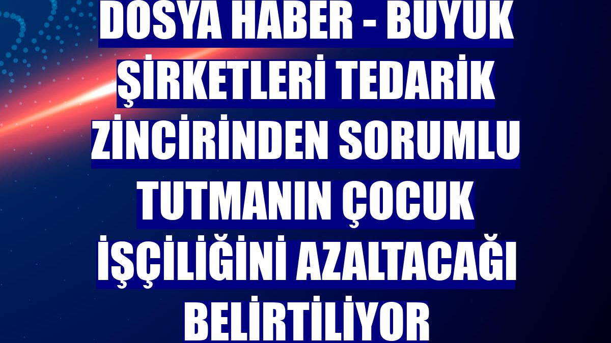 DOSYA HABER - Büyük şirketleri tedarik zincirinden sorumlu tutmanın çocuk işçiliğini azaltacağı belirtiliyor