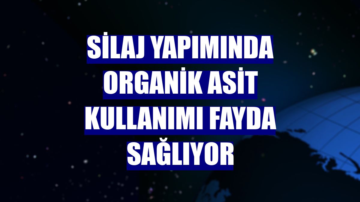 Silaj yapımında organik asit kullanımı fayda sağlıyor