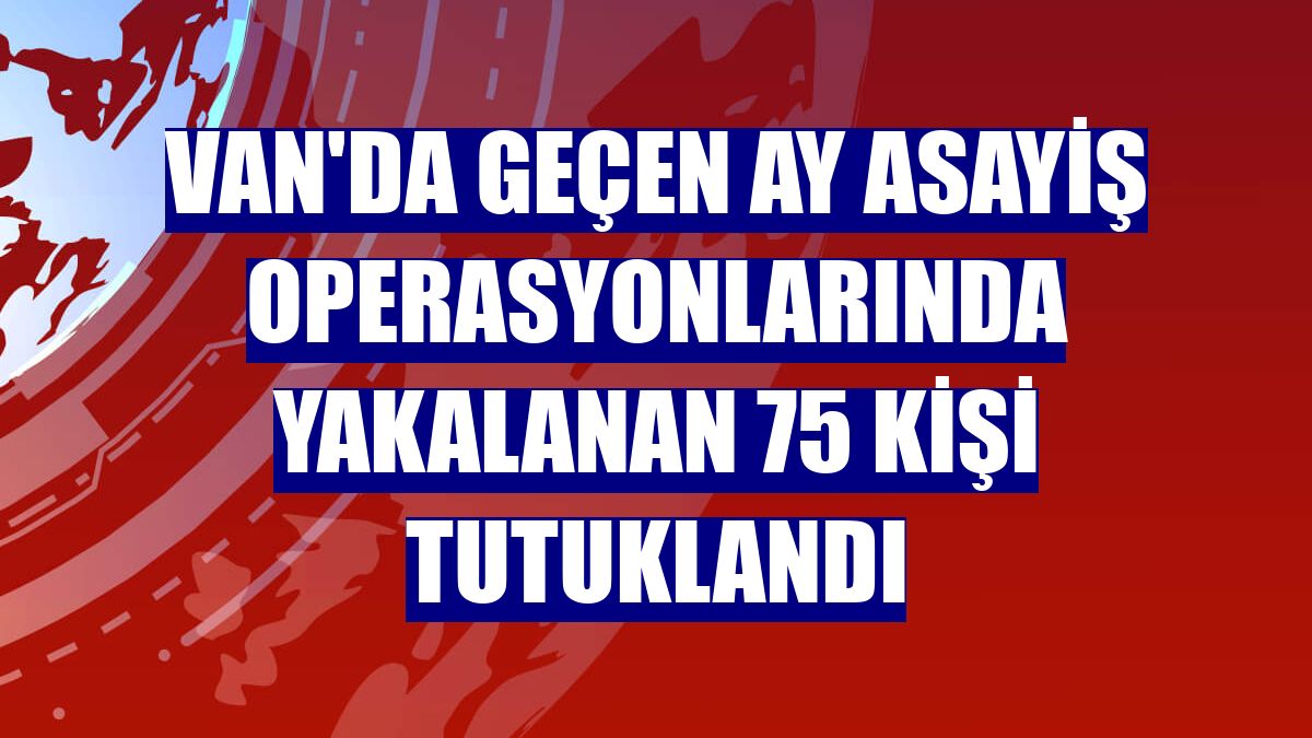 Van'da geçen ay asayiş operasyonlarında yakalanan 75 kişi tutuklandı