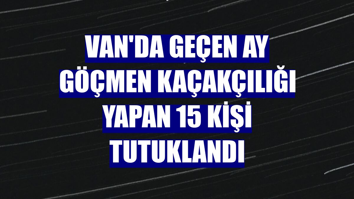 Van'da geçen ay göçmen kaçakçılığı yapan 15 kişi tutuklandı