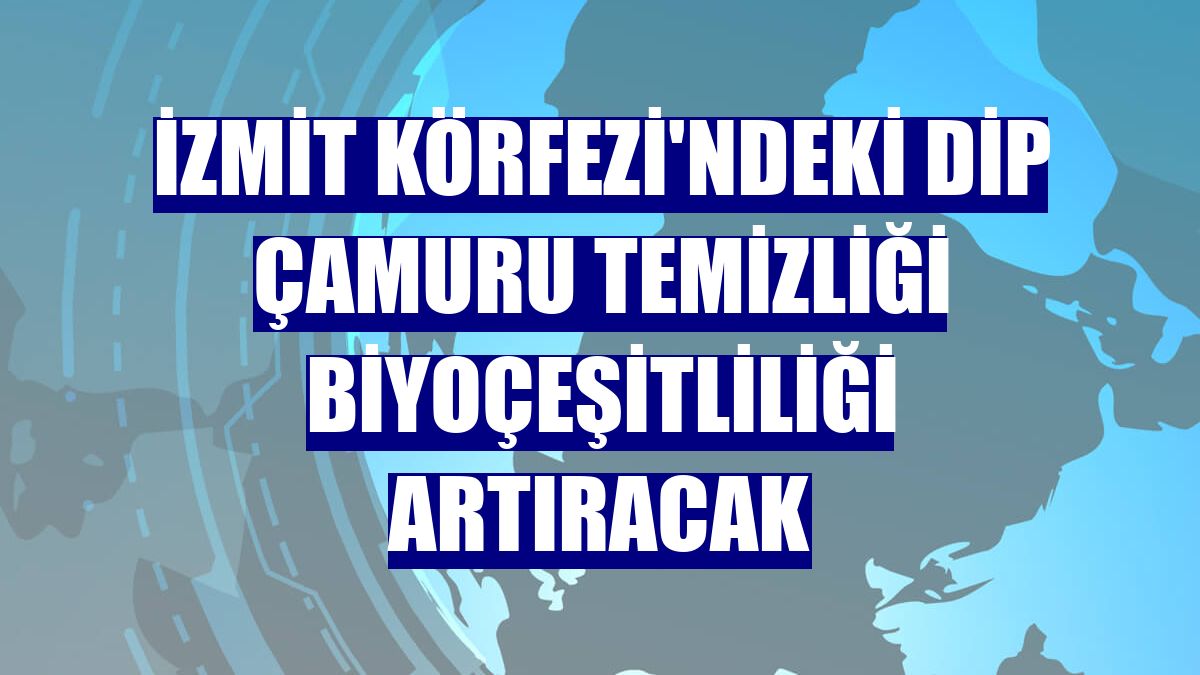 İzmit Körfezi'ndeki dip çamuru temizliği biyoçeşitliliği artıracak