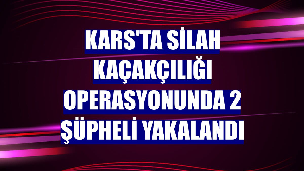 Kars'ta silah kaçakçılığı operasyonunda 2 şüpheli yakalandı