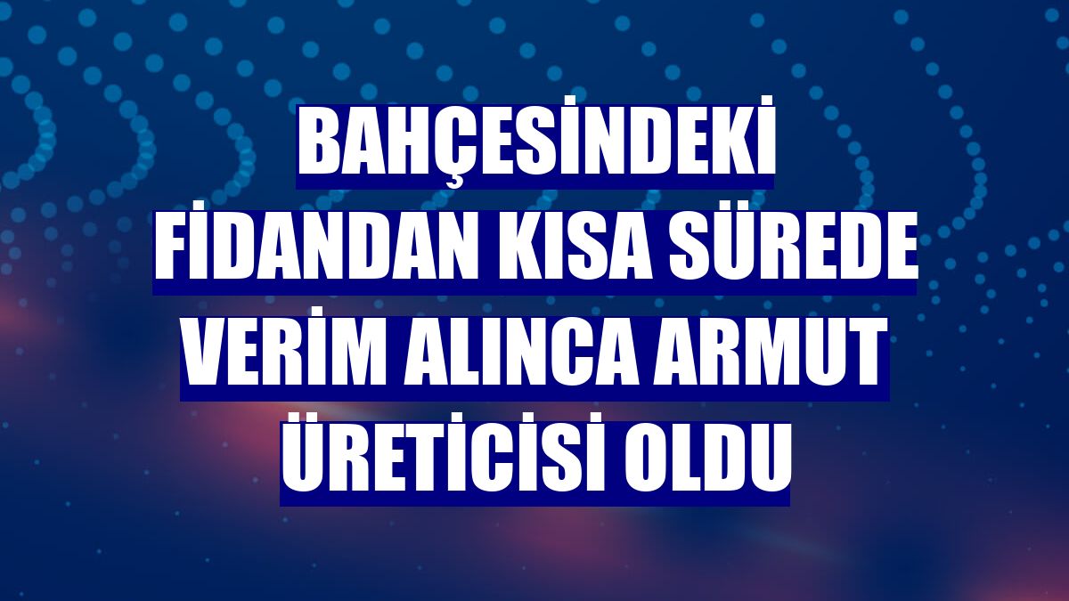 Bahçesindeki fidandan kısa sürede verim alınca armut üreticisi oldu
