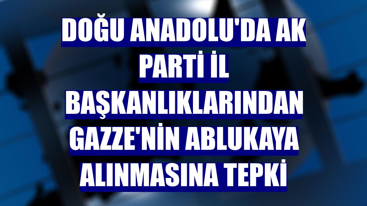 Doğu Anadolu'da AK Parti İl Başkanlıklarından Gazze'nin ablukaya alınmasına tepki